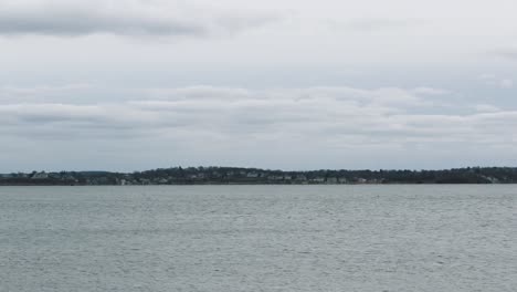 seagull flying over the bay on a cloudy day in hull, massachusetts near hull gut and boston harbor - wide shot, static