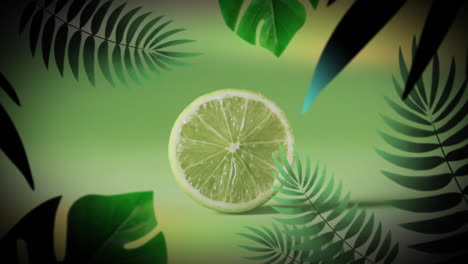 composición de hojas tropicales sobre cal reducida a la mitad sobre fondo verde