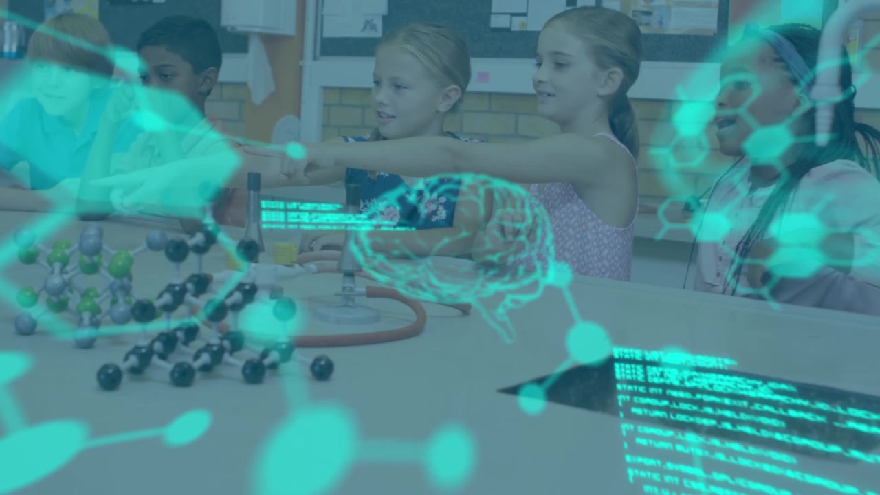 Animation of data processing over diverse schoolchildren in lab