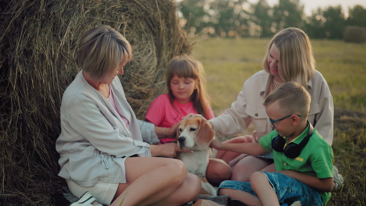 아이들과 함께 할머니와 딸은 에 인 개와 함께 야외에서 풀 근처에서 놀고, 해가 지는 동안 시골에서 따뜻한 가족 모임, 평범한 시골 레저