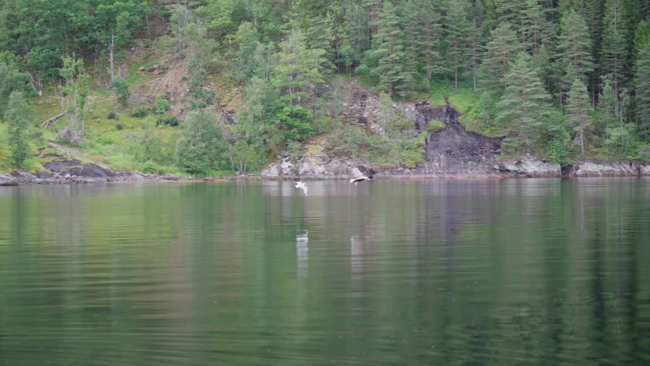 Serene Lake with Forest and Bird
