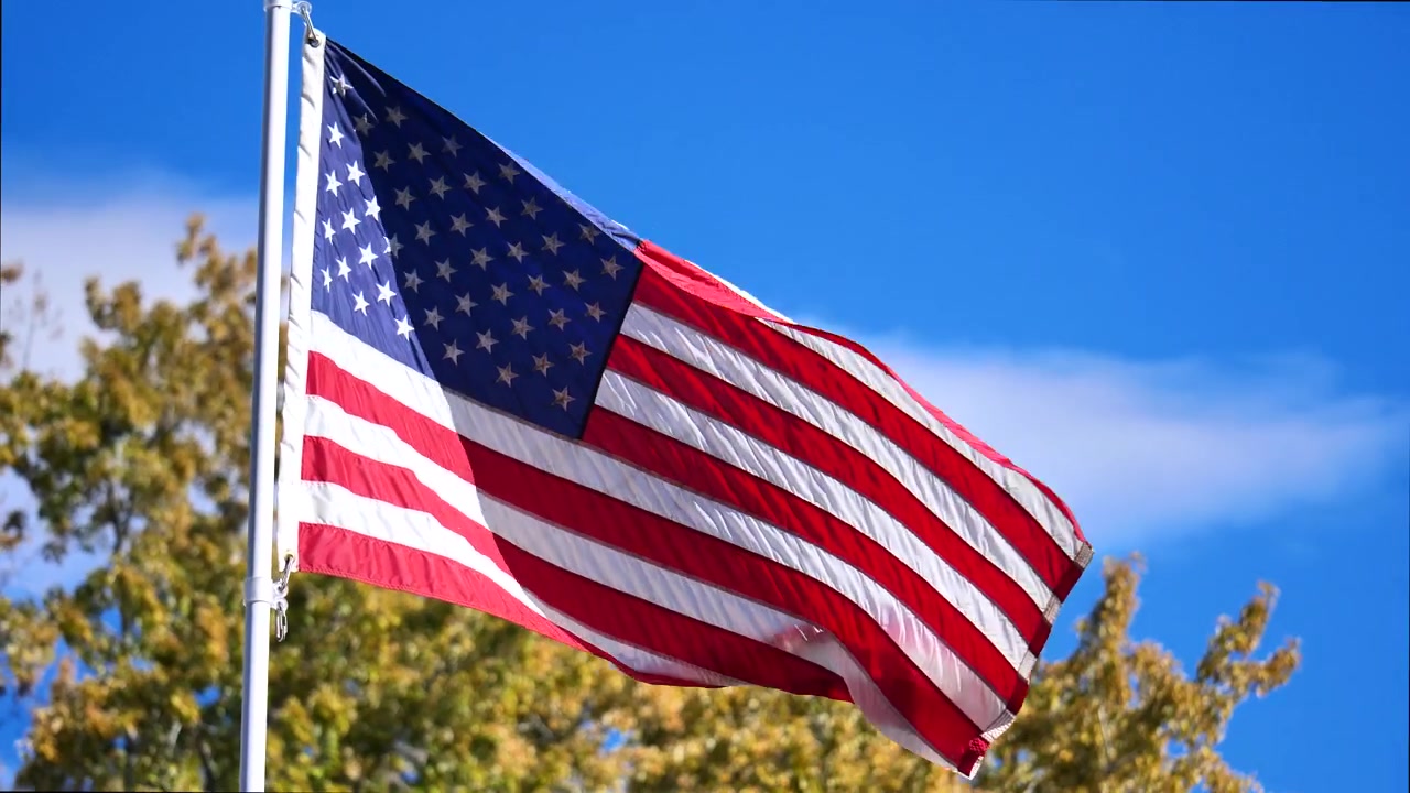 Bandiera americana che sventola nella brezza con splendido cielo azzurro e alberi autunnali sullo sfondo