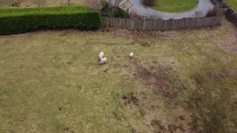 Imágenes-Cinematográficas-De-Drones-Aéreos-De-La-Aldea-De-Hawkshead-Y-La-Iglesia-De-San-Miguel-Y-Todos-Los-ángeles