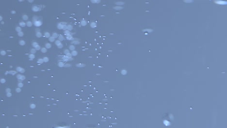 las burbujas de aire se elevan desde la parte superior del agua
