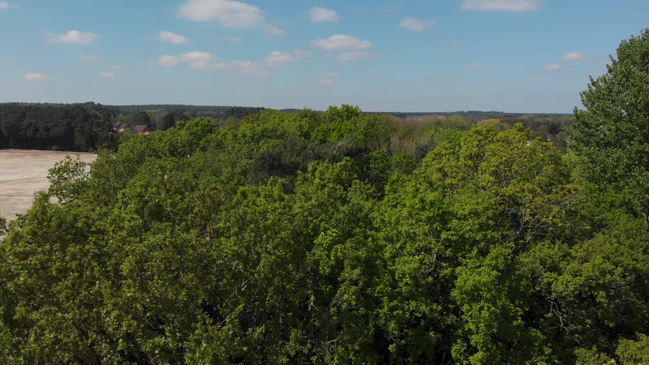 Aerial Drone clip flying over the green tree tops of a small forest in Enland during Spring