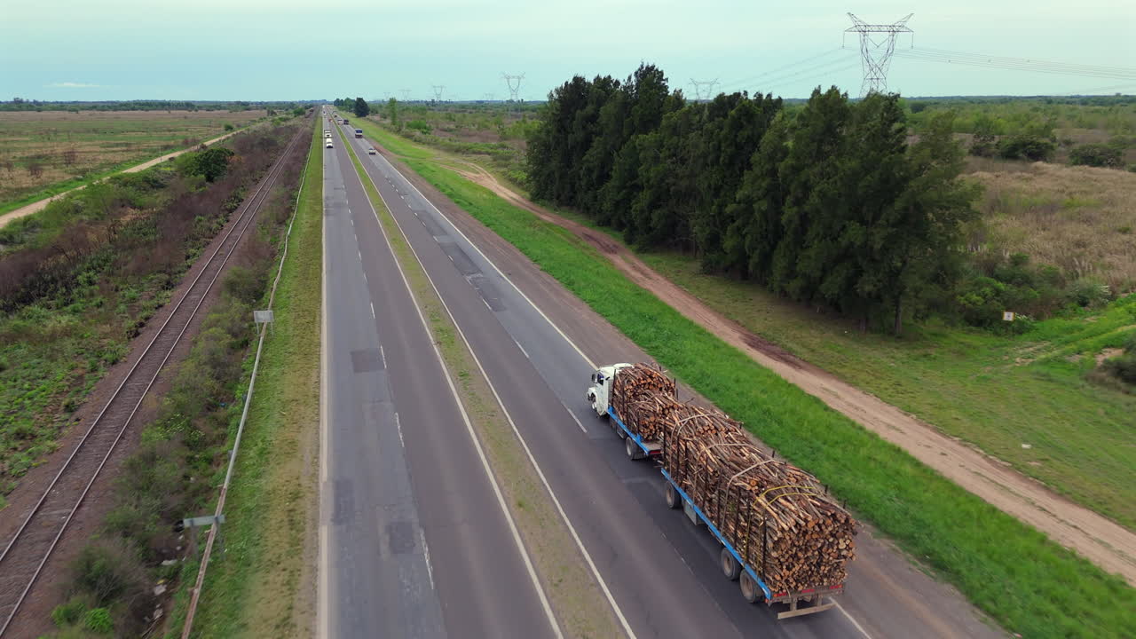Truck loaded with tree trunks travels on highway, exploitation of natural resources