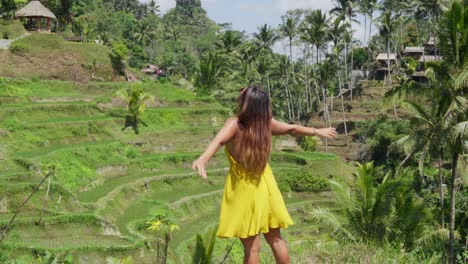 woman enjoying the panoramic view of lush green rice terraces