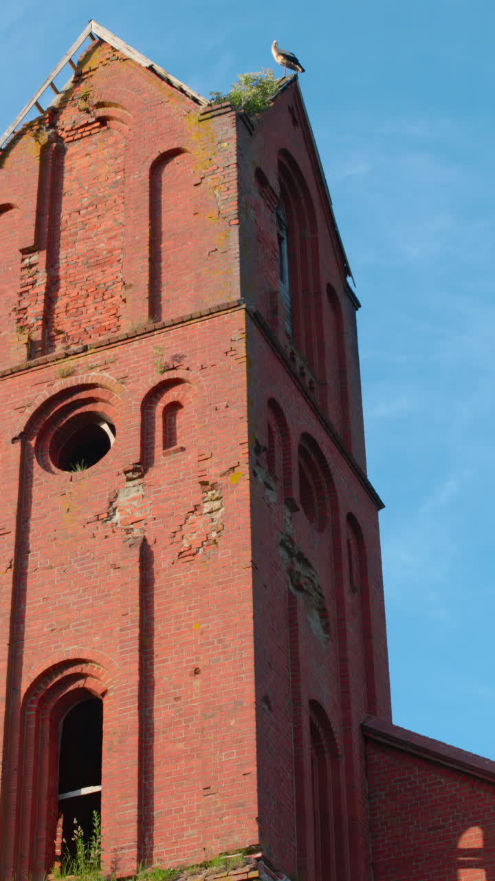 Cicogna appollaiata in cima a una vecchia torre di mattoni rossi