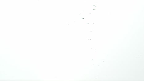 bayas rojas frescas caídas en el agua con burbujas en aumento, aisladas en blanco