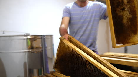 frames fully filled with honey and prepared for extracting it. male apiarist takes the frames and places them into centrifuge device.