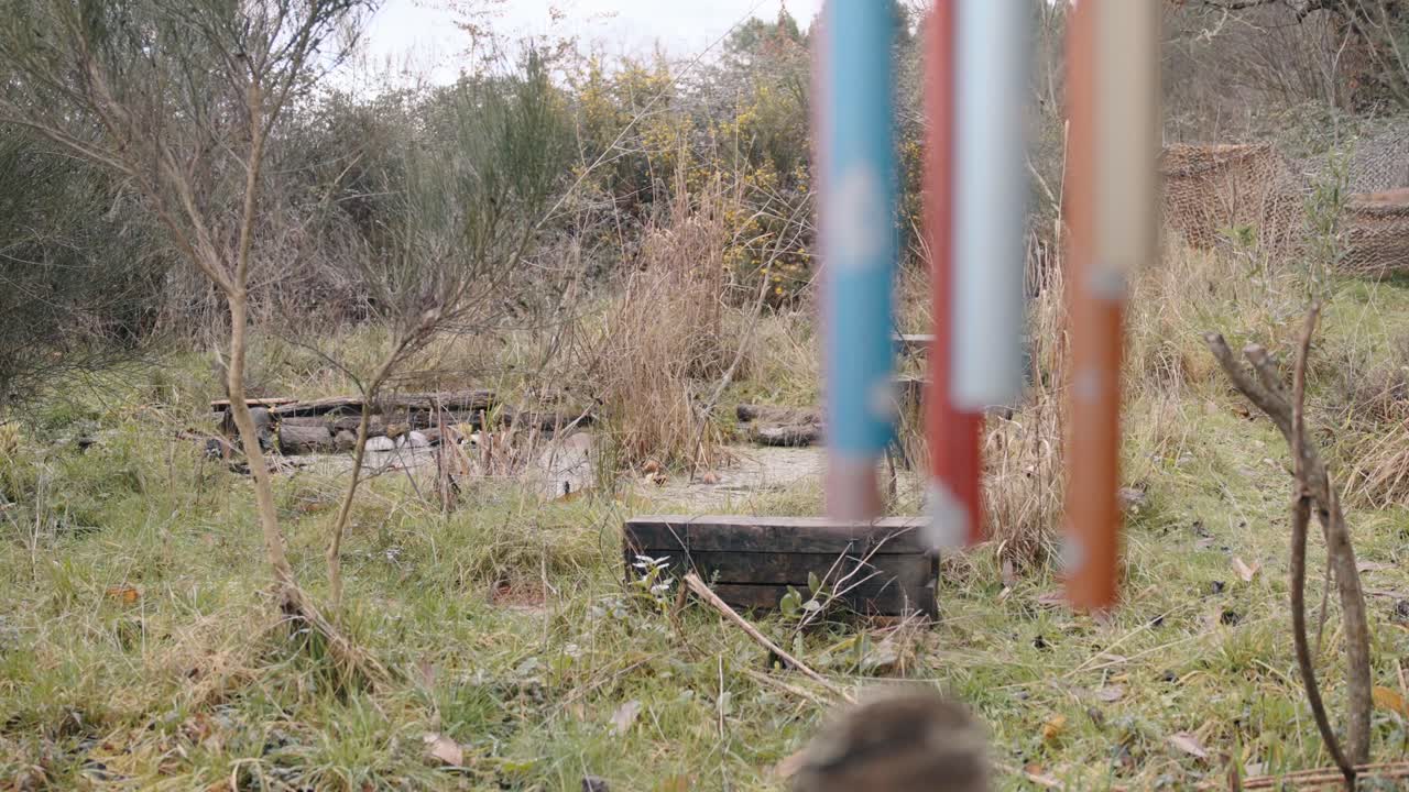 Colorful wind chimes near pond, symbol of tranquility and garden charm.