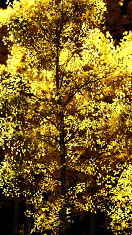 golden autumn forest