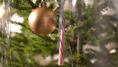 person hand place candy sugarcane decoration on christmas tree