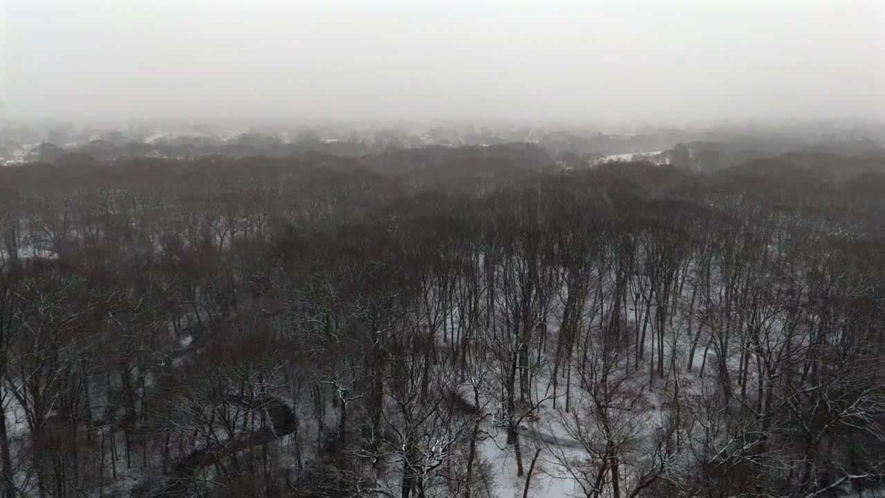 An aerial view over leafless, trees in winter on a snowy and cloudy day on Long Island, NY. The drone camera dolly out high up over the treetops as snow falls.