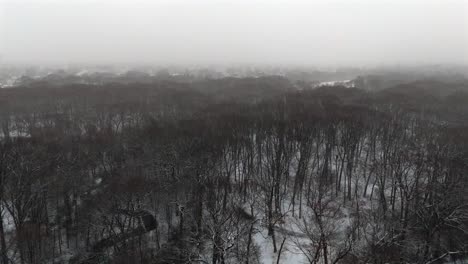 an aerial view over leafless, trees in winter on a snowy and cloudy day on long island, ny. the drone camera dolly out high up over the treetops as snow falls.