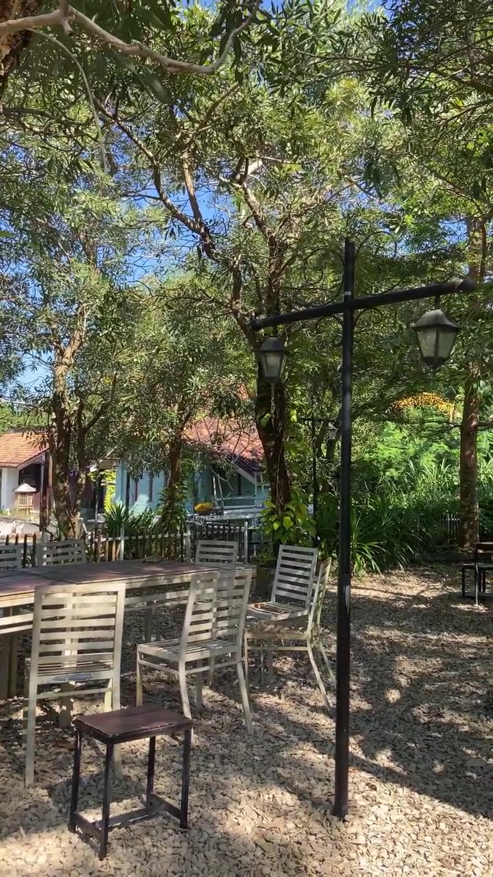 Area salotto tranquilla di un caffè all'aperto sotto alberi verdi