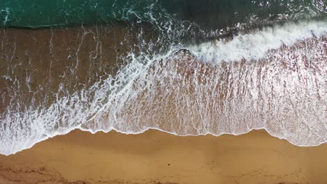 Meereswellen-Plätschern-Und-Schäumen-Auf-Dem-Wunderschönen-Braunen,-Unberührten-Sand-Eines-Exotischen-Strandes,-Wunderschöne-Küstenstruktur,-Bermuda