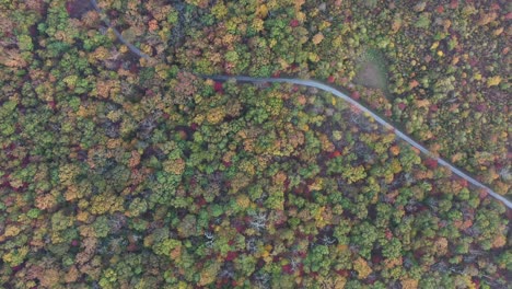 una vista de pájaro de un camino de tierra que serpentea a través de un colorido bosque de otoño en las montañas apalaches de virginia
