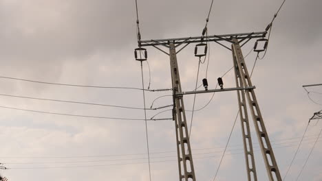 detail shot of a electrical wire tower