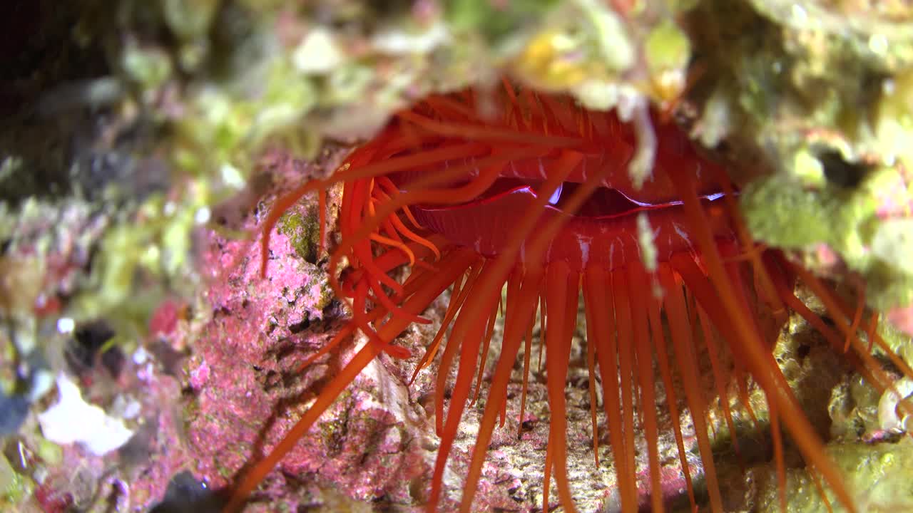 개폐 밸브에 의한 화염 파일 쉘 공급, 클로즈업 샷