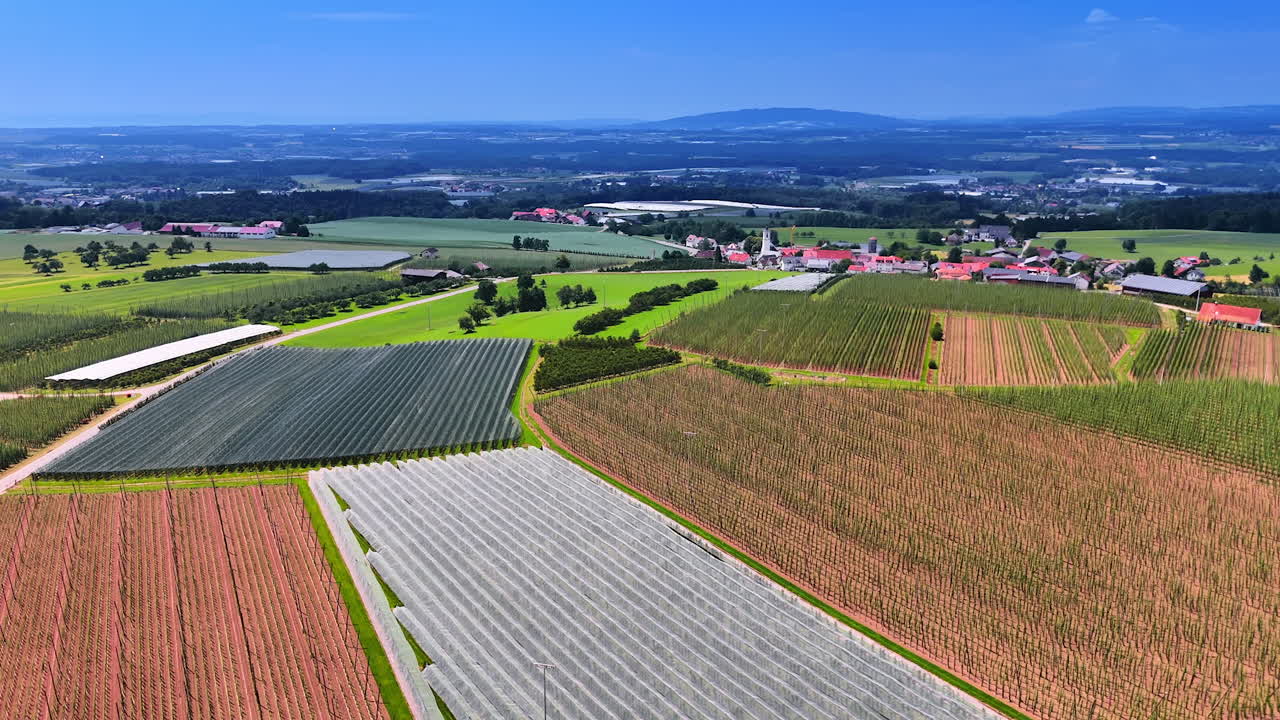 Vast agricultural plantations scattered in the picturesque countryside. Drone footage approaching the rural area with lovely houses