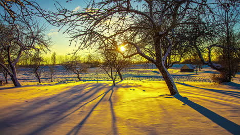 motionlapse of yellow sunlight on snowy landscape with tree trunks shadows moving