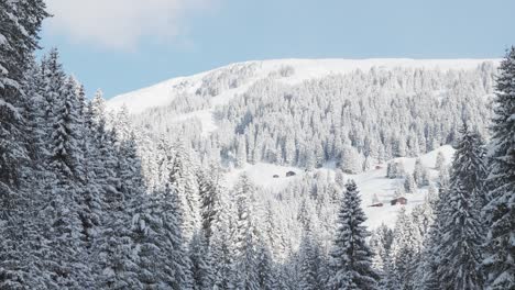 Mesmerizing-Winter-Scene-in-the-Mountains