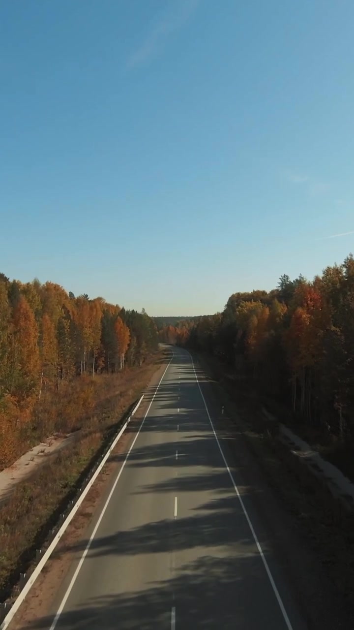 Vista drone di una strada dritta e vuota che attraversa una foresta autunnale colorata, luce solare calda e lunghe ombre, una tranquilla scena di viaggio rurale con cielo azzurro e limpido.