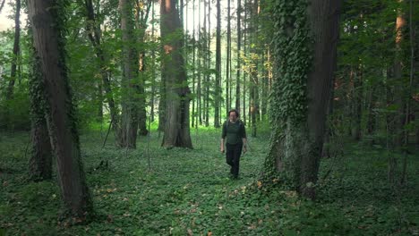 man with a backpack walks through a green forest full of ivy in slow motion on a sunny summer day