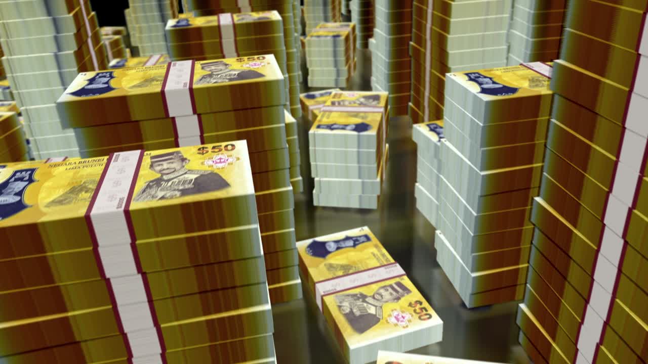 3d 비행 브루나이 달러 돈 지폐 패크 루프 애니메이션