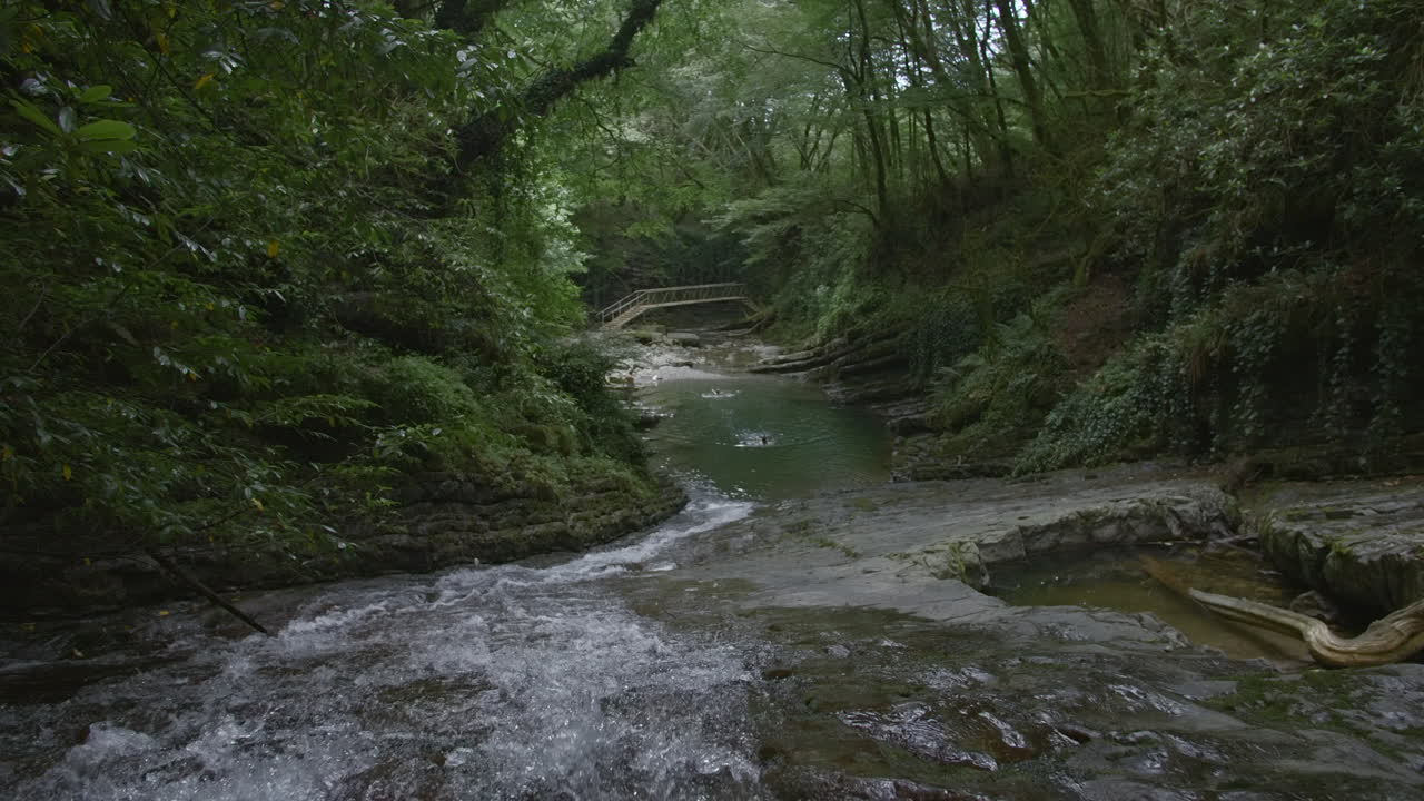 cascada forestal y arroyo