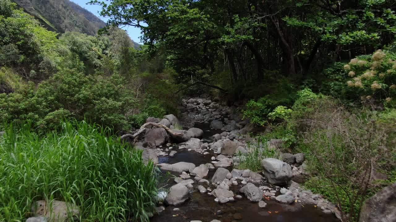 drone volando sobre un estrecho arroyo en el área de reserva natural del oeste de maui