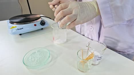 scientist conducts sodium acetate crystallization using beakers and hot plate in a laboratory setting