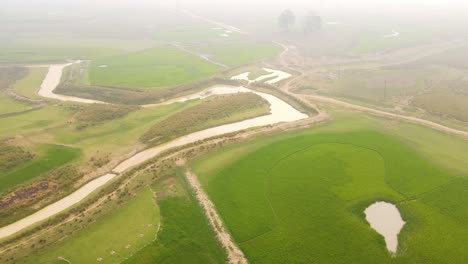 Vista-Aérea-Del-Paisaje-Del-Campo-De-Arroz-Verde-Con-Un-Pequeño-Río-En-Bangladesh