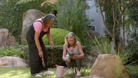 gardening together, multiracial female friends planting flowers and watering plants in backyard