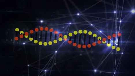 animación de la hilera de adn girando con una red de conexiones