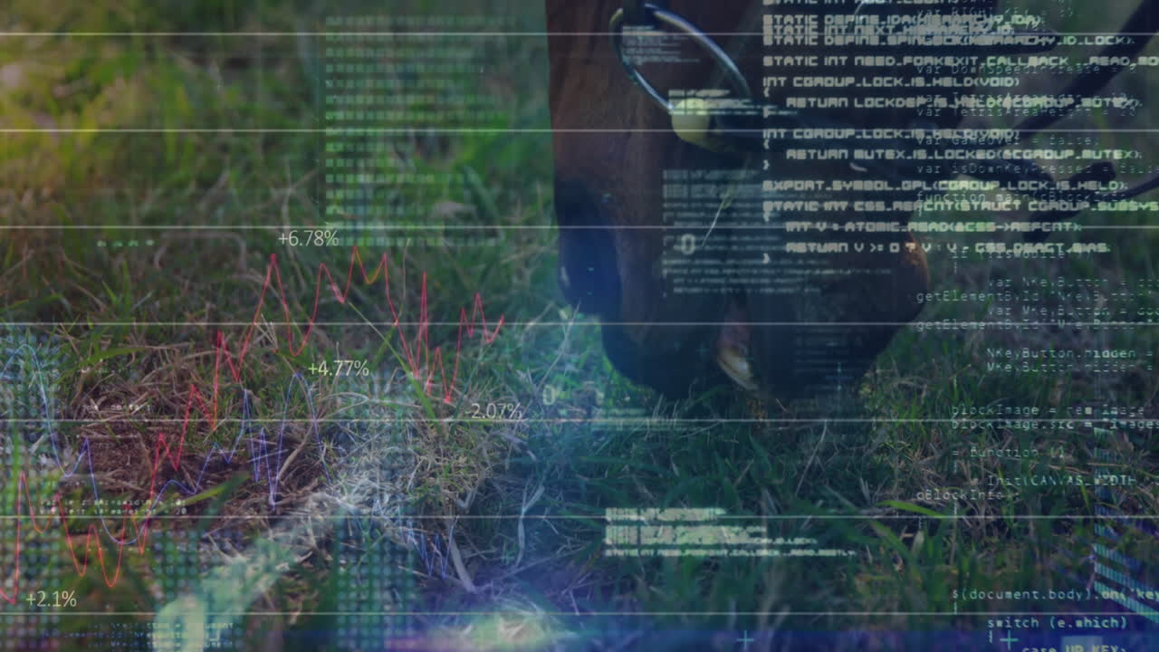 animazione dell'elaborazione dei dati finanziari su erba da cavallo