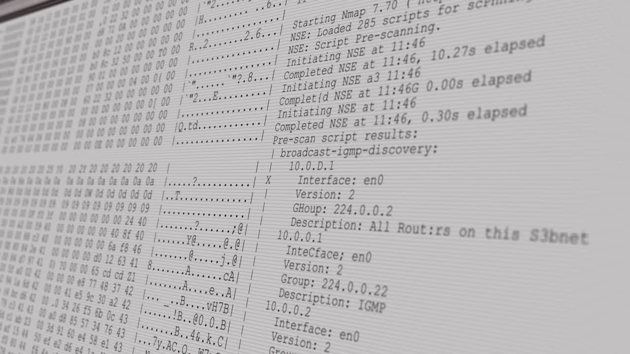 animación del procesamiento de datos en la pantalla gris de la computadora