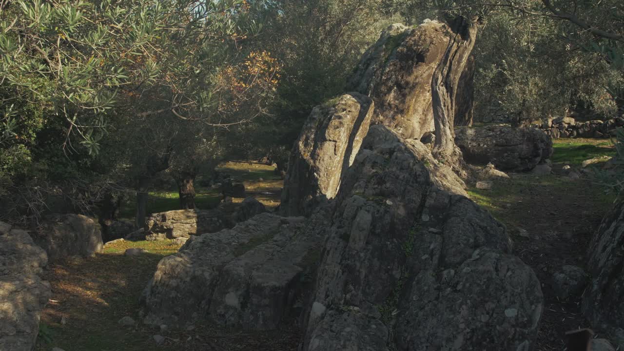 Sollys faller på storslåtte klipper i en frodig skog
