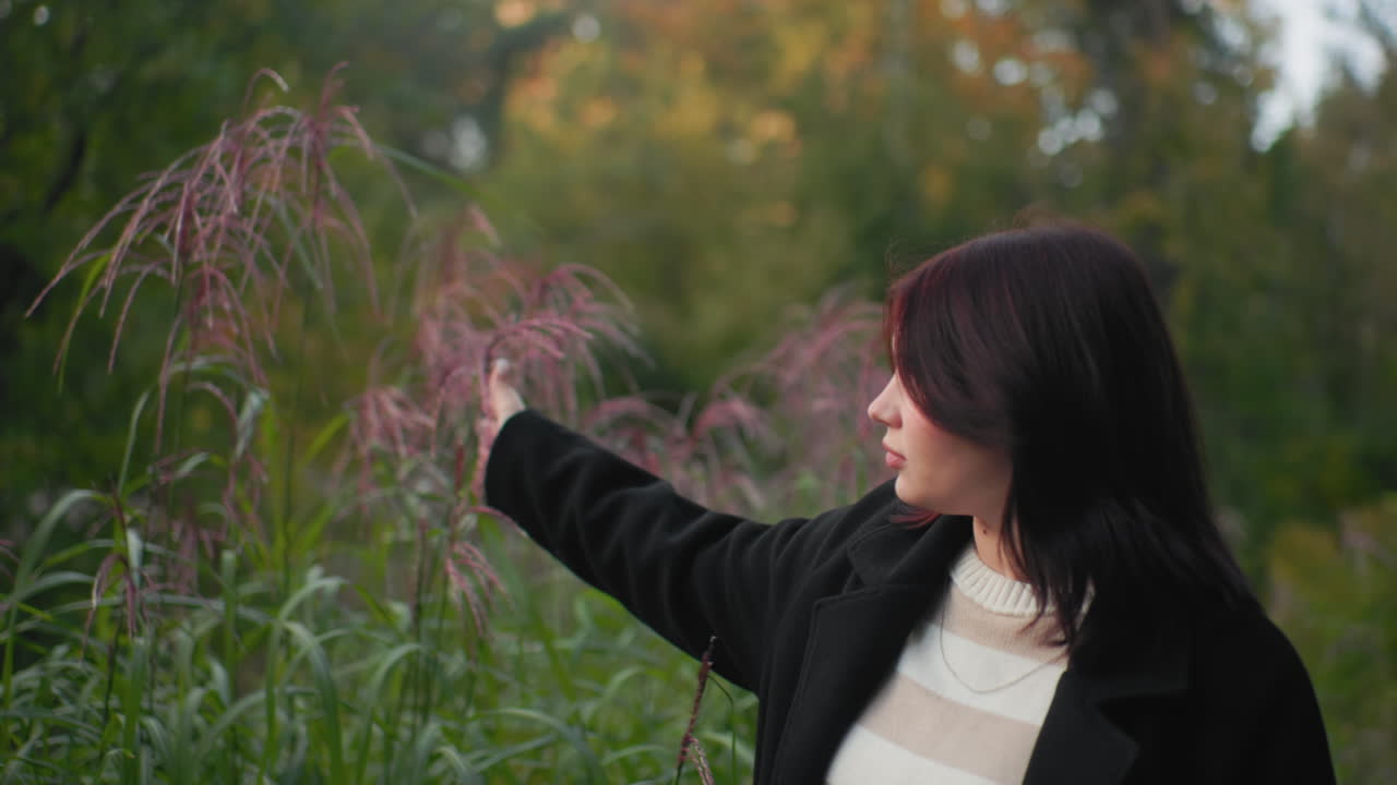 Outdoor woman walks gently, hand gliding through purple reeds, brushing soft plumes beside green path, striped sweater under black coat, warm autumn light and quiet park mood enhancing serene