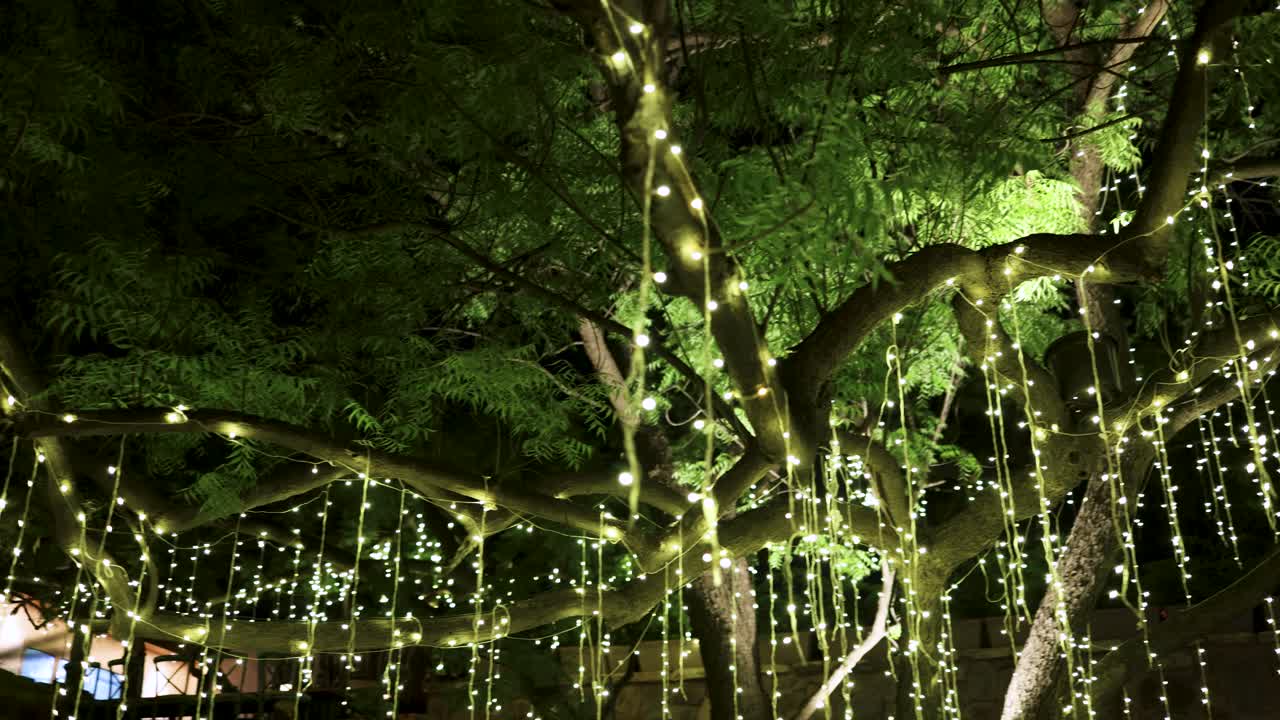 Illuminated Foliage Creating A Magical Evening Ambiance