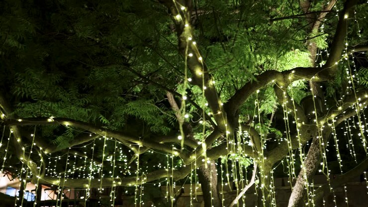 Illuminated Foliage Creating A Magical Evening Ambiance