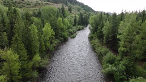 peaceful slowly moving river surrounded by aspen and pine trees in silverthorne colorado aerial dolly pan