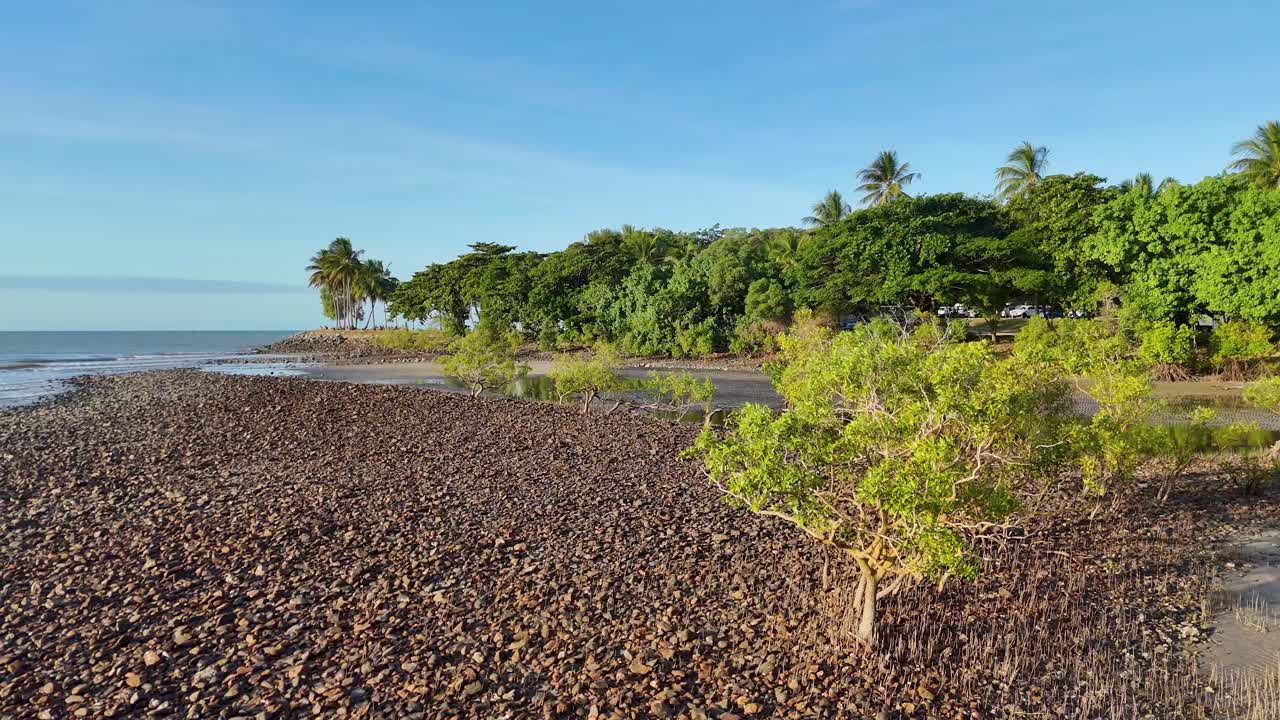 Drone captures serene mangrove landscape with lush greenery and coastal views in Port Douglas, Australia