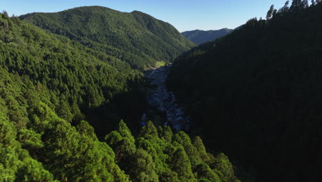 aerial view low over trees, revealing a village in the mountains of kyoto, japan