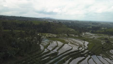 Aerial-view-of-the-Unesco-world-heritage-rice-fields-at-Jatiluwih,-Bali,-Indonesia-on-a-cloudy-day