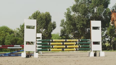 hombre afroamericano saltando un obstáculo con su caballo de doma