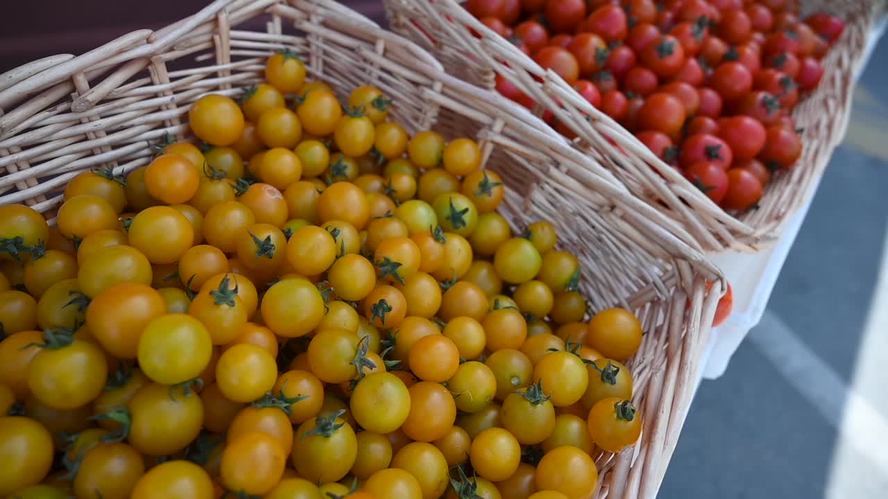 현지에서 재배 된 치리 토마토는 uae의 농업 축제 기간 동안 전시 및 판매에 제공됩니다.