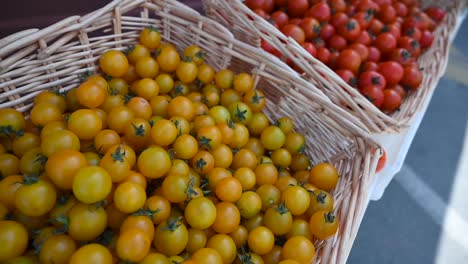 los tomates alegres cultivados localmente se exhiben y se ofrecen para la venta durante el festival de la agricultura en los emiratos árabes unidos