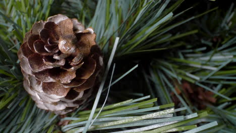 cerrar la decoración del árbol de navidad